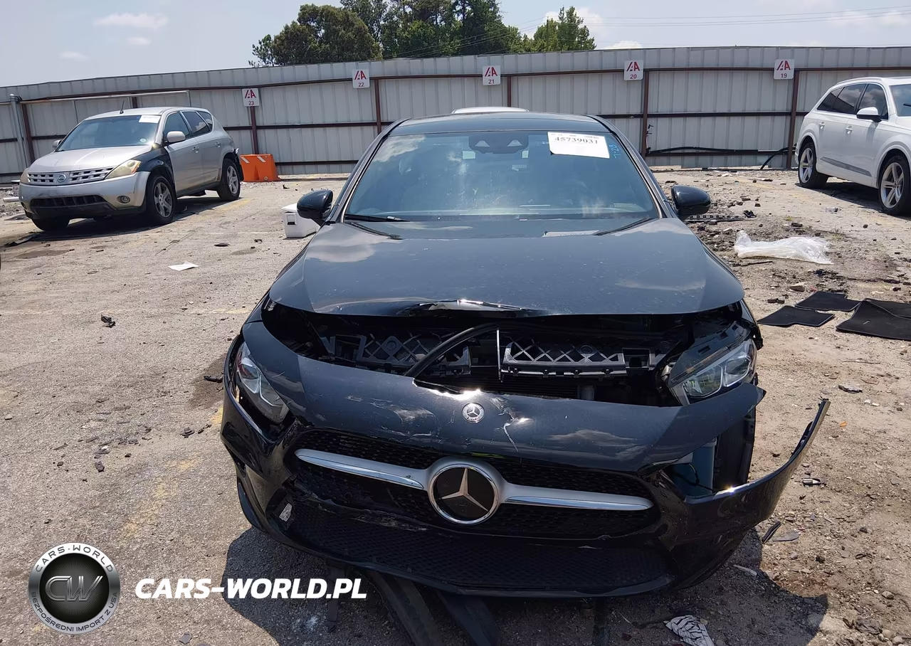 2019 Mercedes-Benz A 220 4Matic VIN:WDD3G4FB5KW014295 - 12