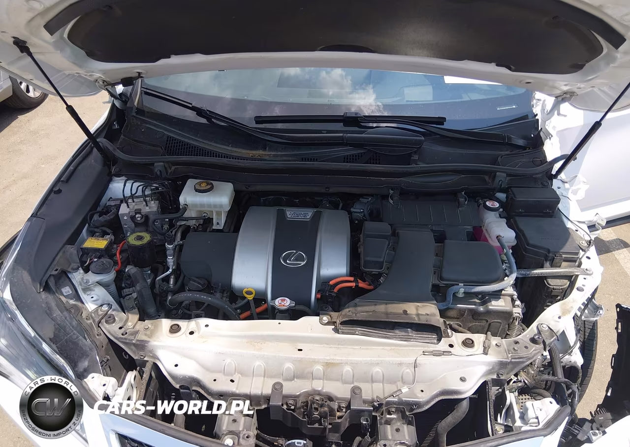 2019 Lexus Rx Rx 450H F Sport VIN:2T2BGMCA9KC042445 - 10