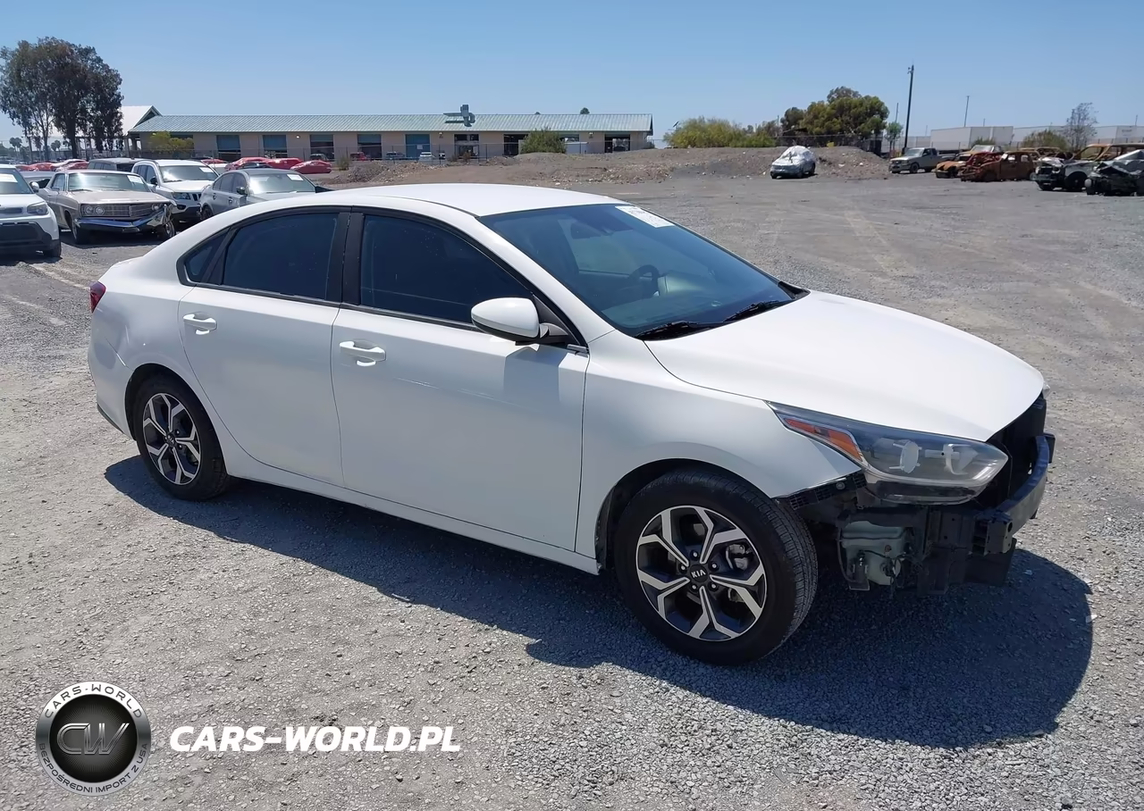 2019 Kia Forte Lxs