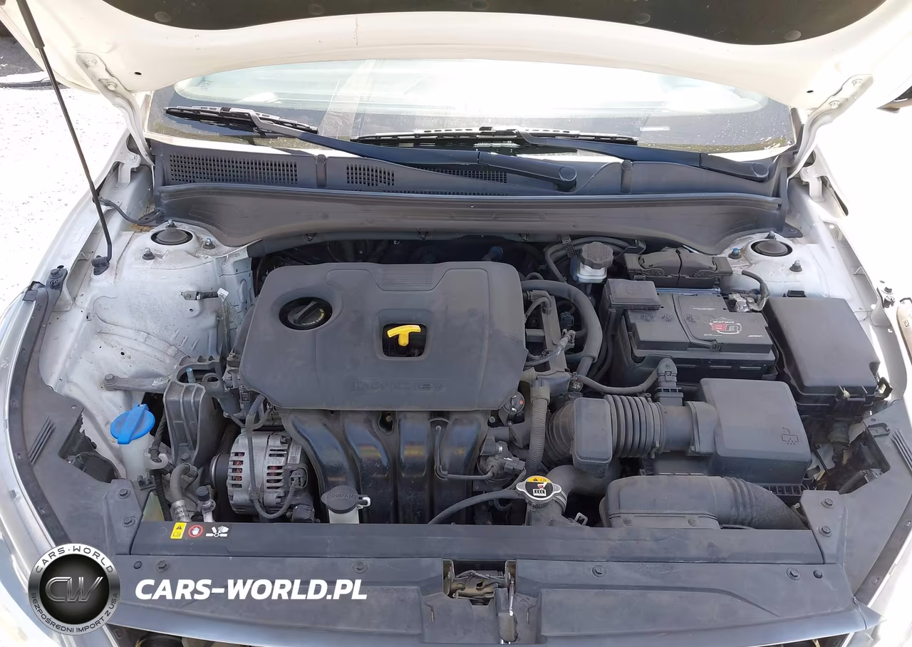 2019 Kia Forte Lxs VIN:3KPF24AD4KE109231 - 10