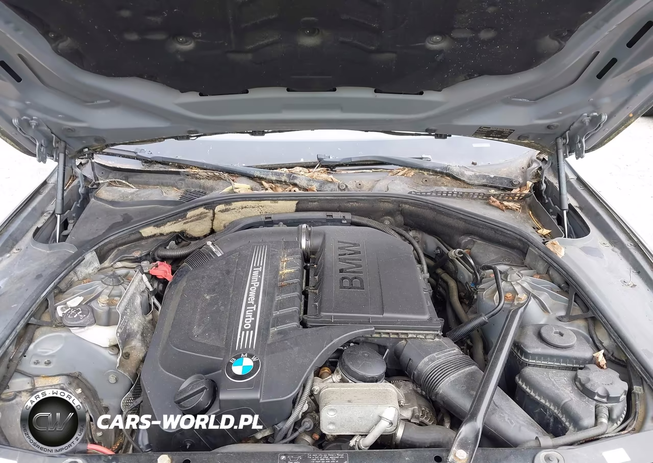 2013 BMW 535I xDrive VIN:WBAFU7C58DDU66530 - 10