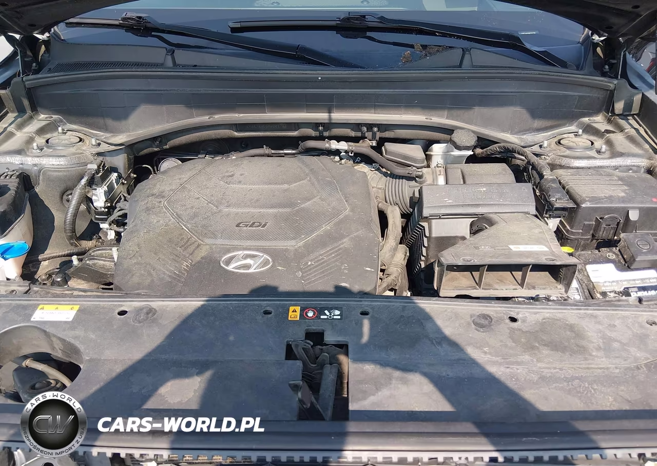2021 Hyundai Palisade Calligraphy VIN:KM8R74HE6MU302784 - 10