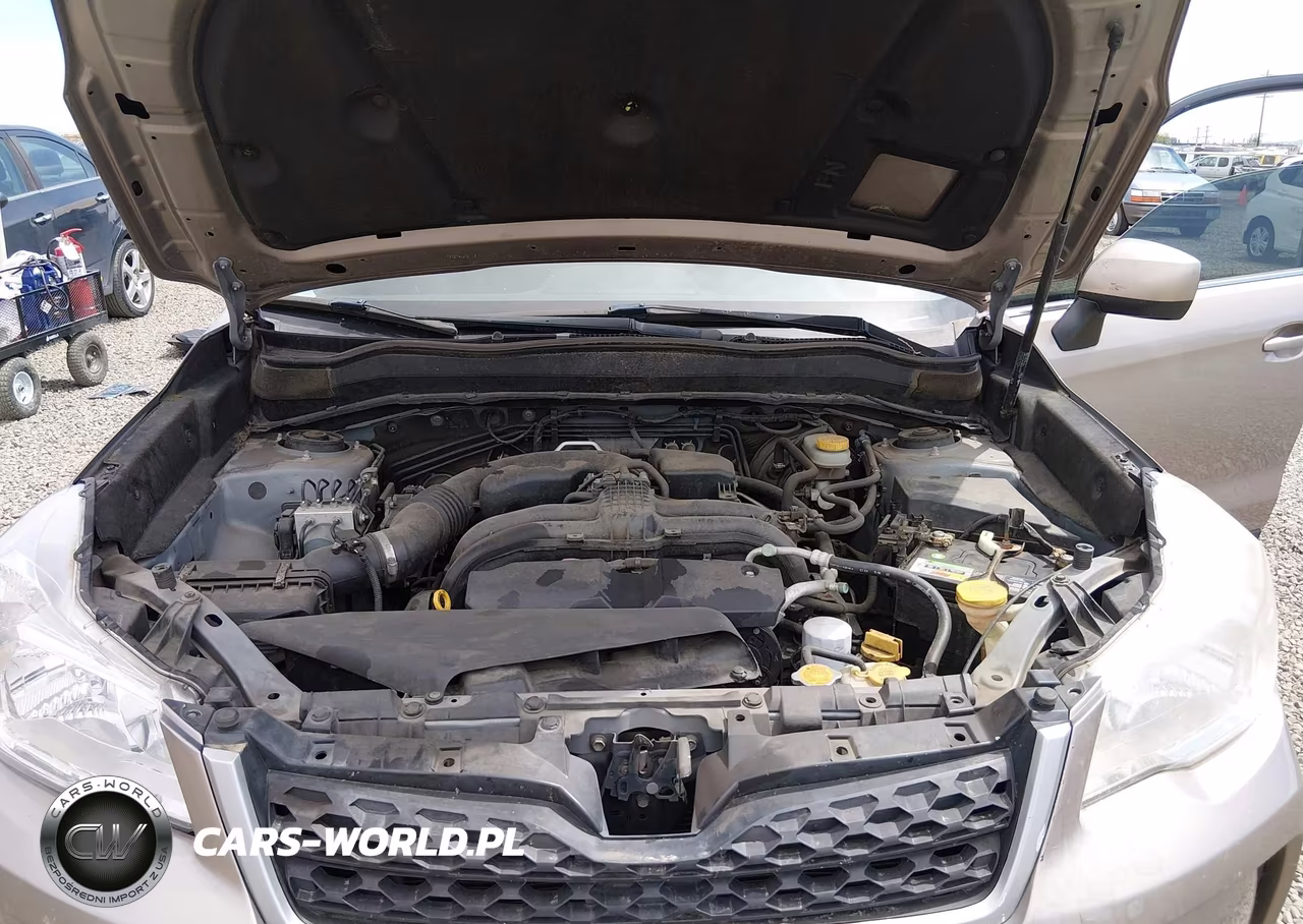 2014 Subaru Forester 2.5I Limited VIN:JF2SJAHC3EH446793 - 10
