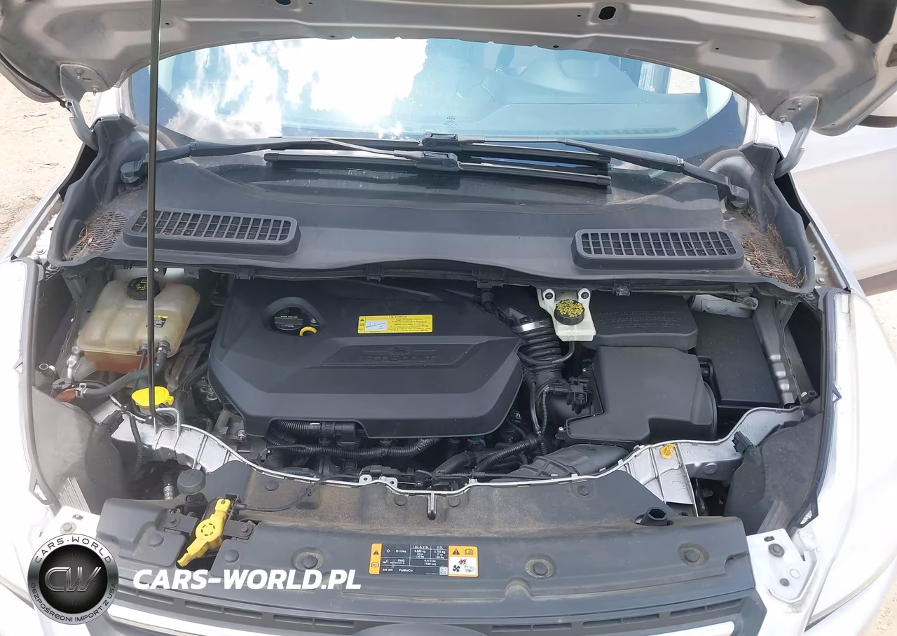 2013 Ford Escape Se VIN:1FMCU0GX8DUD32511 - 10