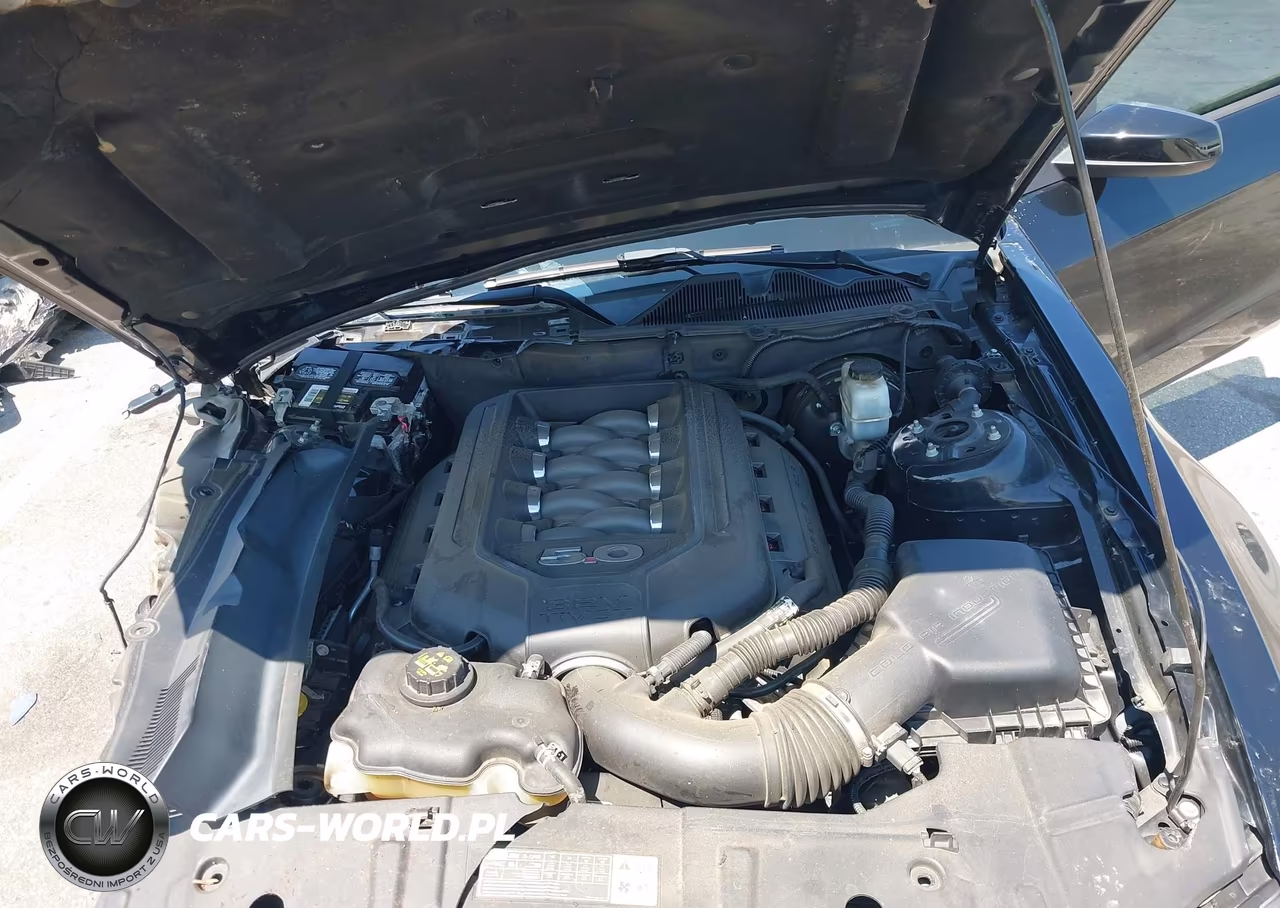 2014 Ford Mustang Gt Premium VIN:1ZVBP8CF4E5294285 - 10