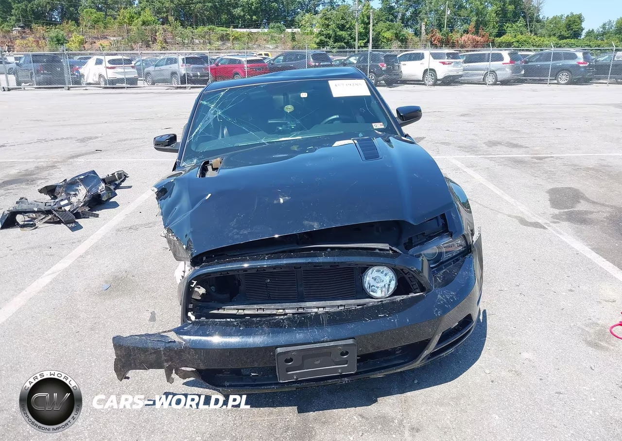 2014 Ford Mustang Gt Premium VIN:1ZVBP8CF4E5294285 - 12