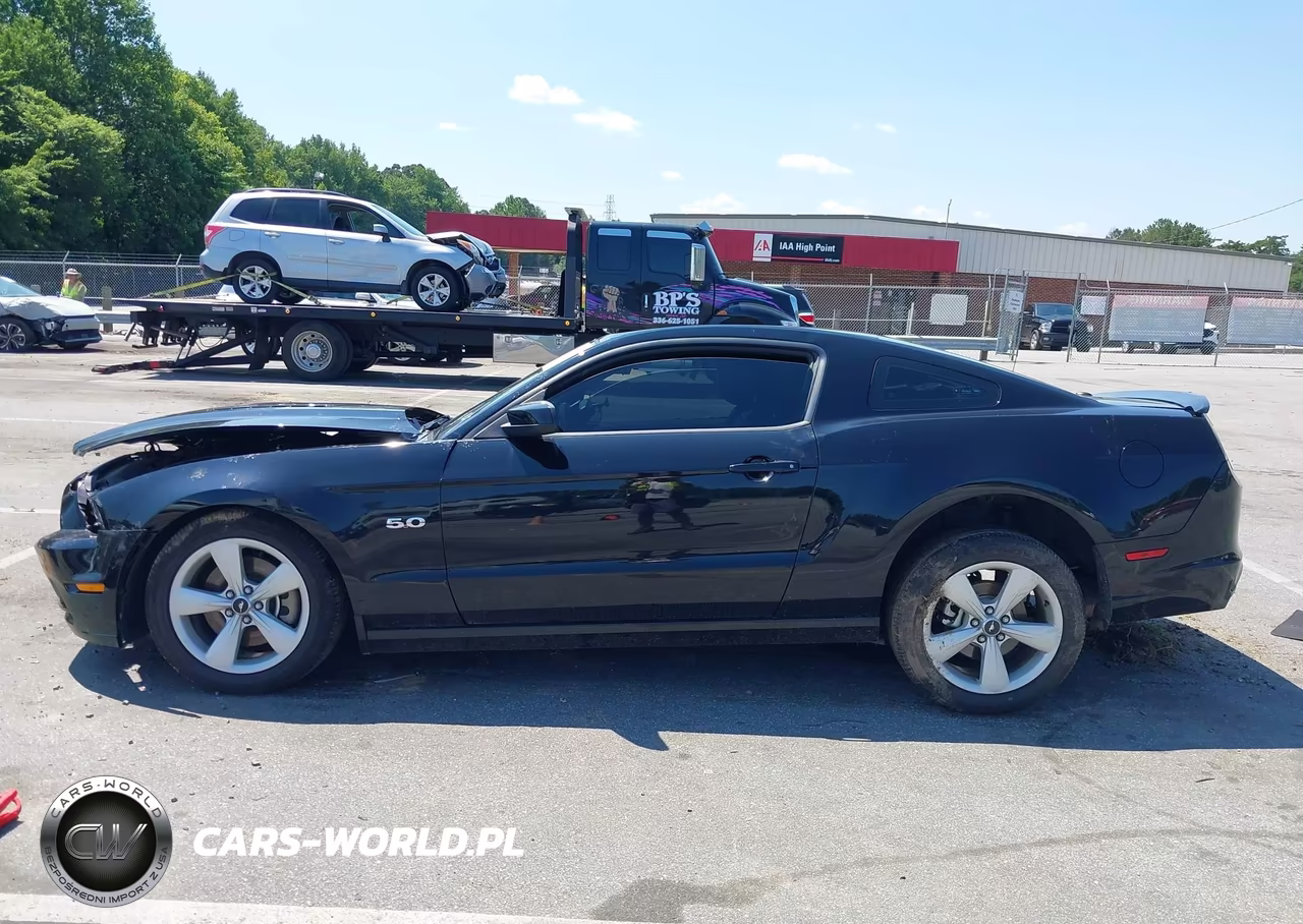 2014 Ford Mustang Gt Premium VIN:1ZVBP8CF4E5294285 - 14