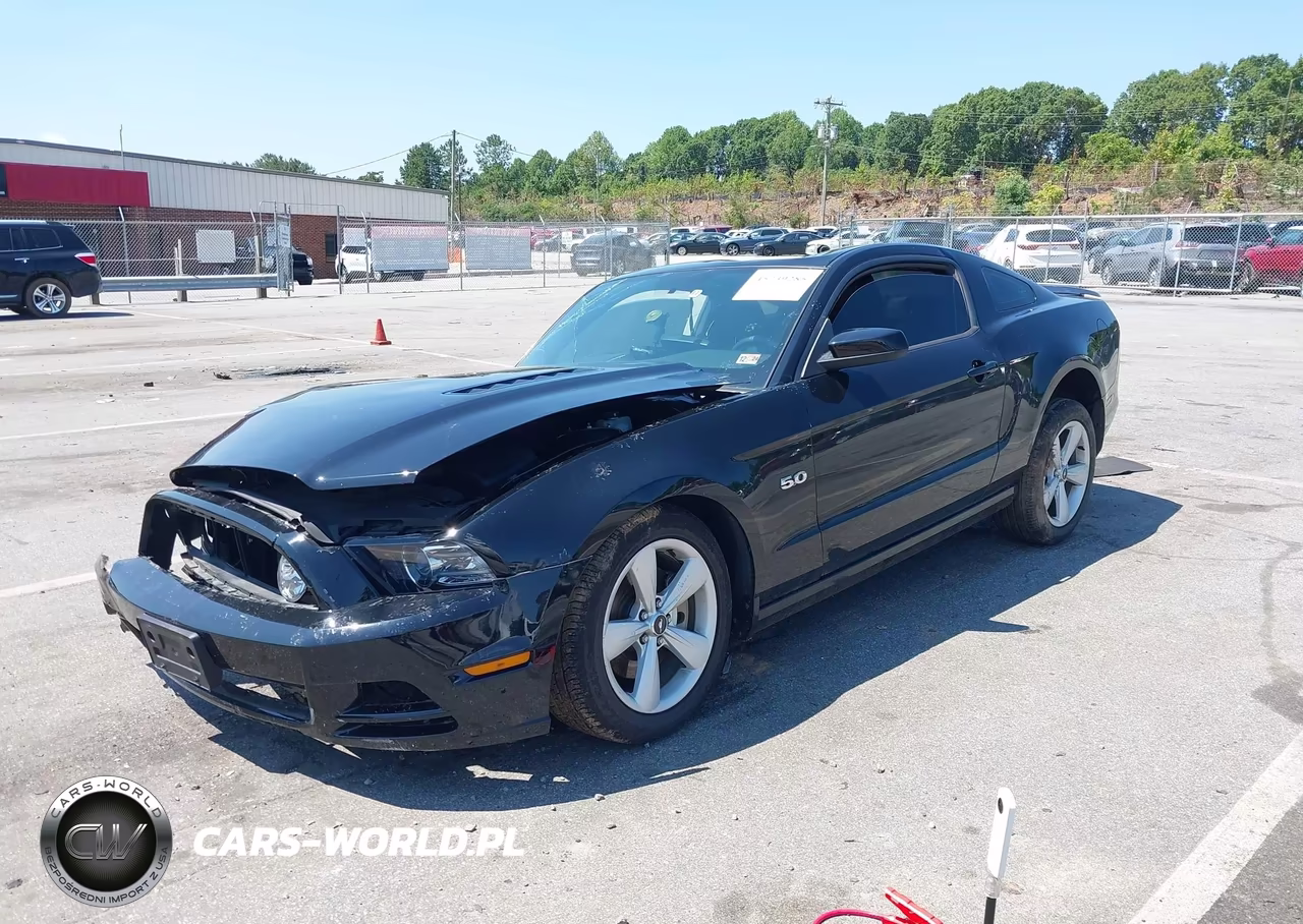 2014 Ford Mustang Gt Premium VIN:1ZVBP8CF4E5294285 - 2
