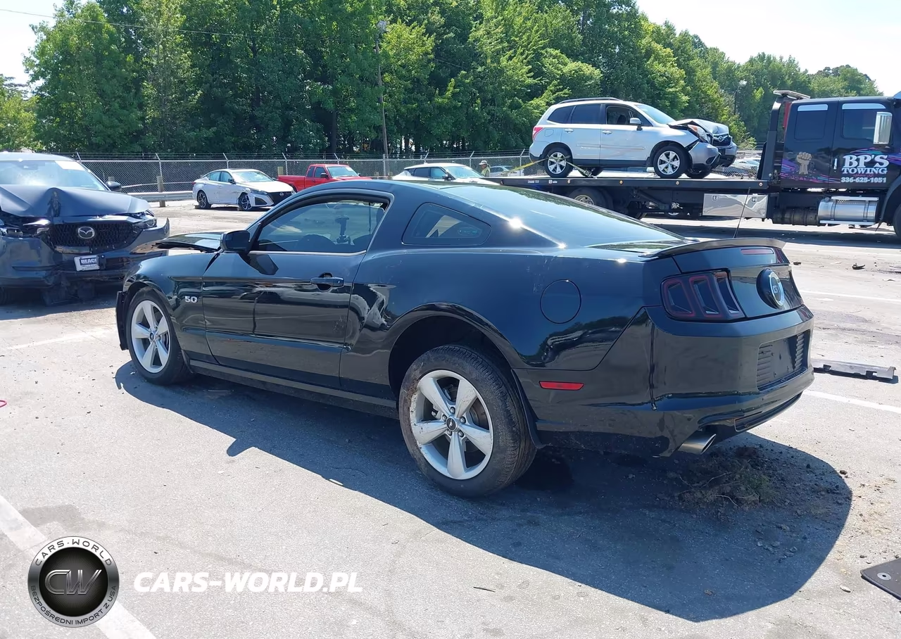 2014 Ford Mustang Gt Premium VIN:1ZVBP8CF4E5294285 - 3