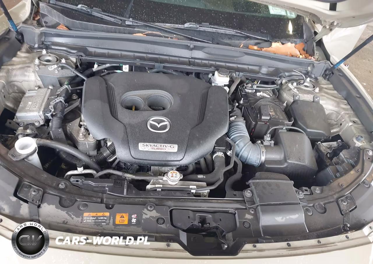 2023 Mazda Cx-50 2.5 Turbo Premium Plus VIN:7MMVABEY3PN102676 - 10