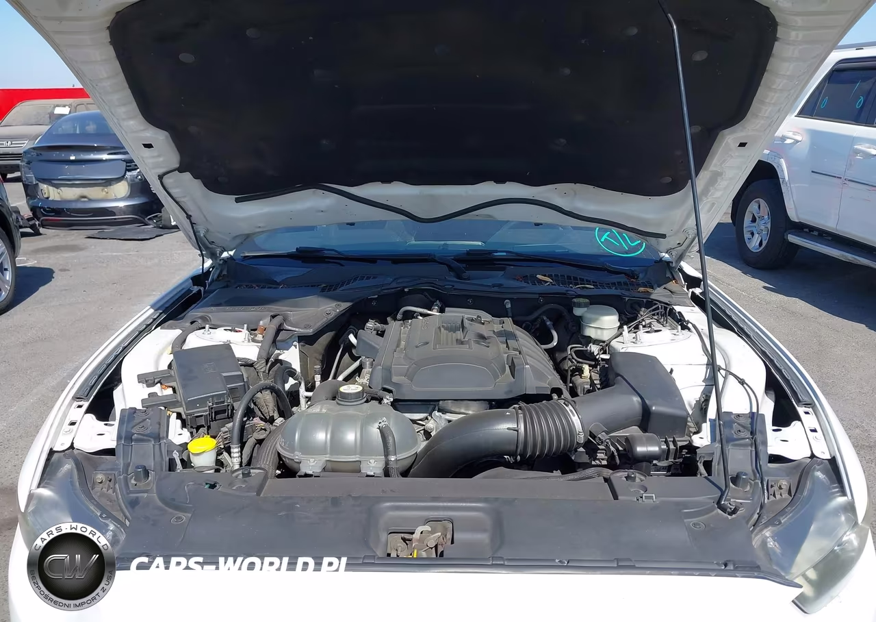 2017 Ford Mustang Ecoboost VIN:1FA6P8THXH5210440 - 10