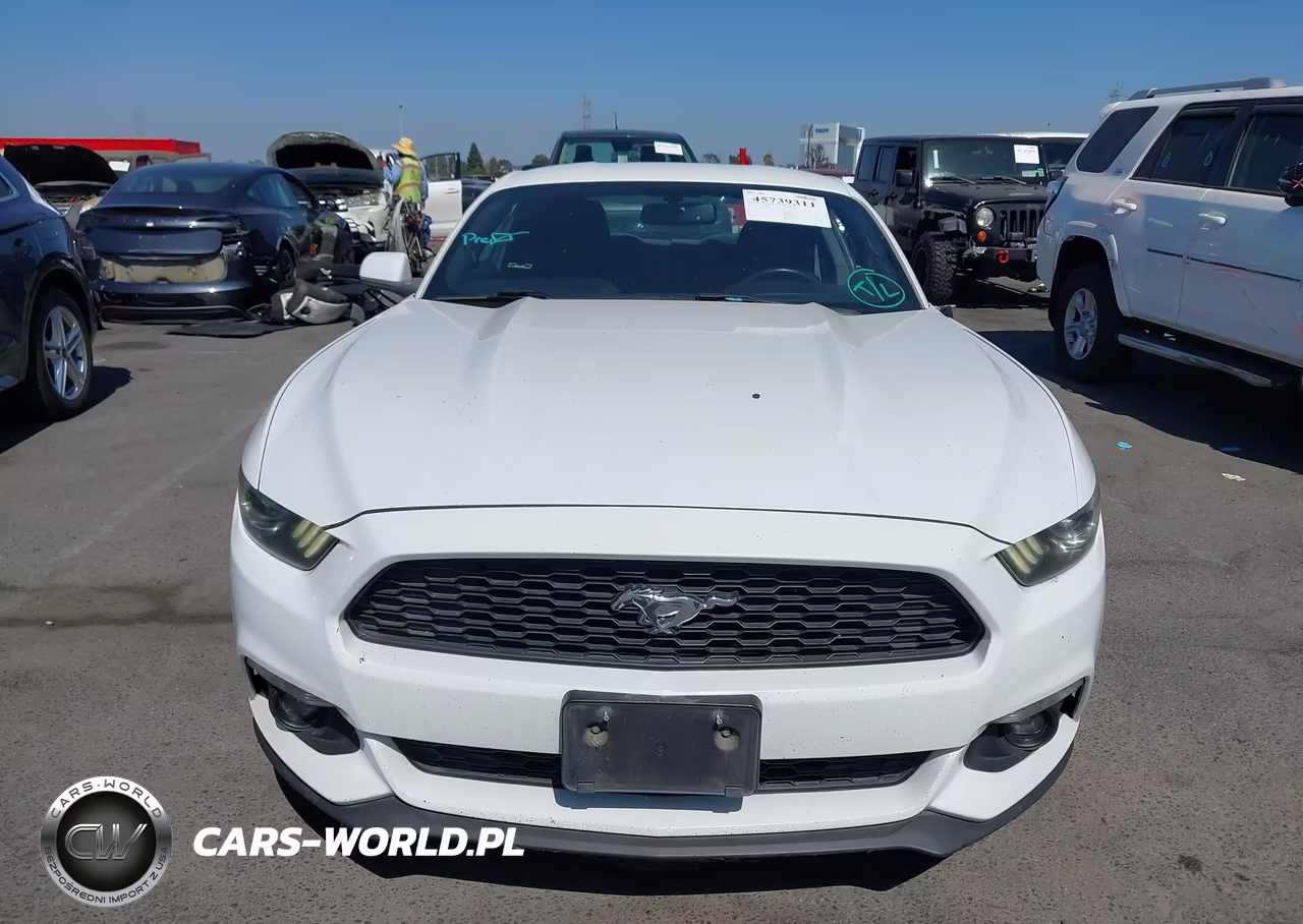 2017 Ford Mustang Ecoboost VIN:1FA6P8THXH5210440 - 12