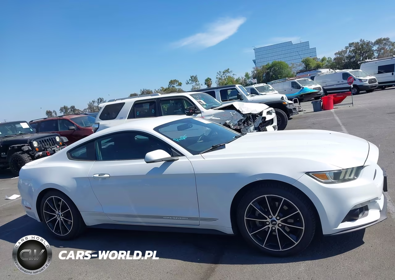 2017 Ford Mustang Ecoboost VIN:1FA6P8THXH5210440 - 13