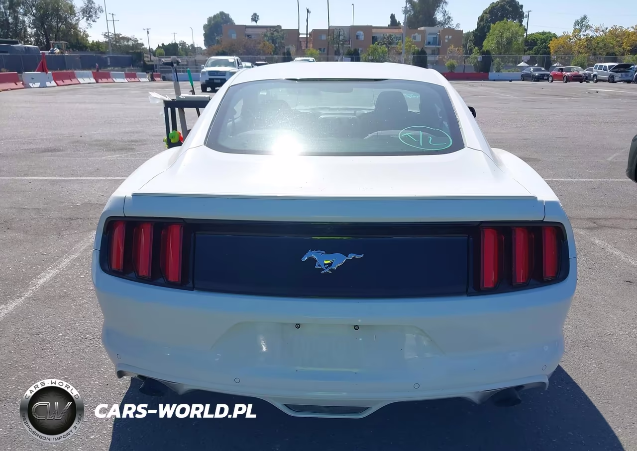 2017 Ford Mustang Ecoboost VIN:1FA6P8THXH5210440 - 16