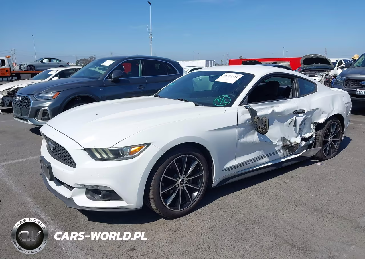 2017 Ford Mustang Ecoboost VIN:1FA6P8THXH5210440 - 2