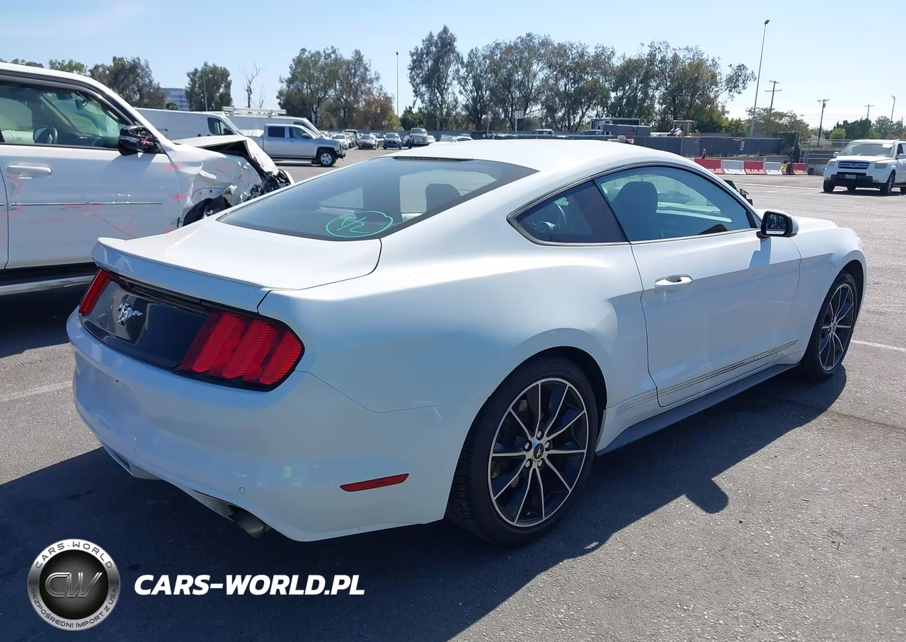 2017 Ford Mustang Ecoboost VIN:1FA6P8THXH5210440 - 4