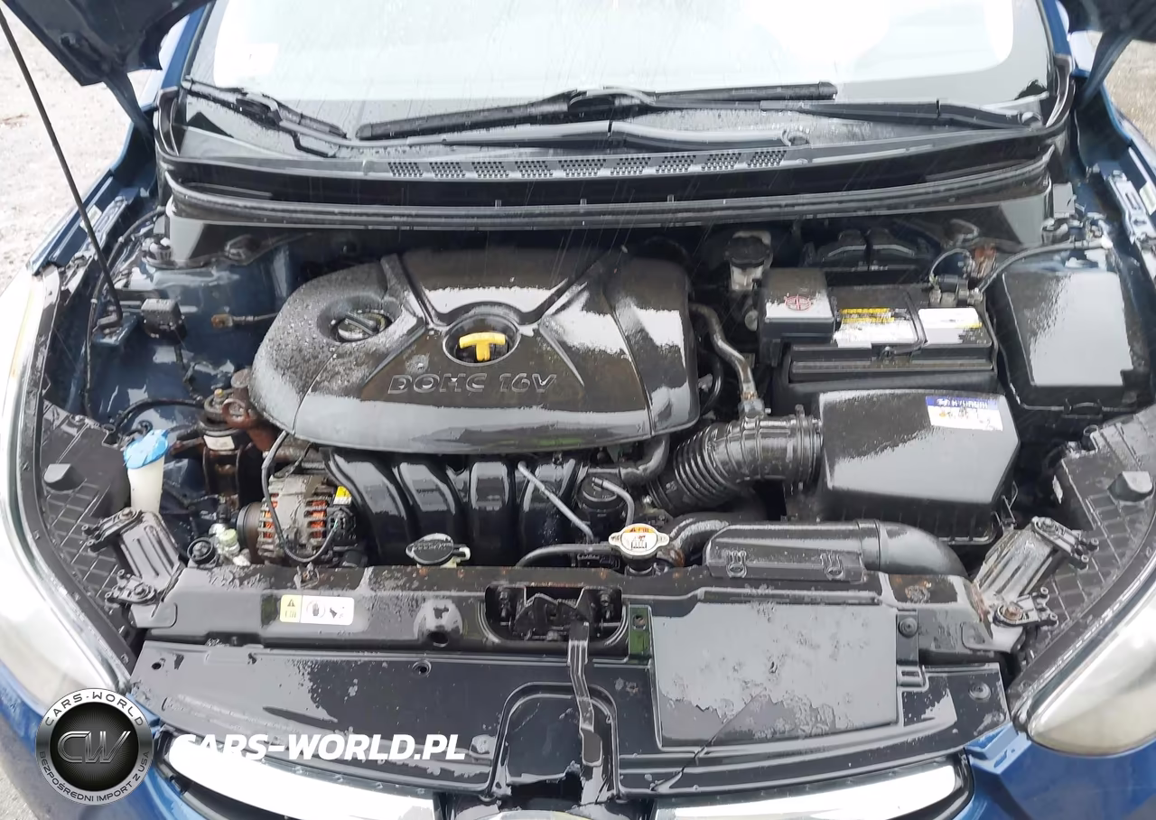 2013 Hyundai Elantra Gls VIN:KMHDH4AE1DU537482 - 10