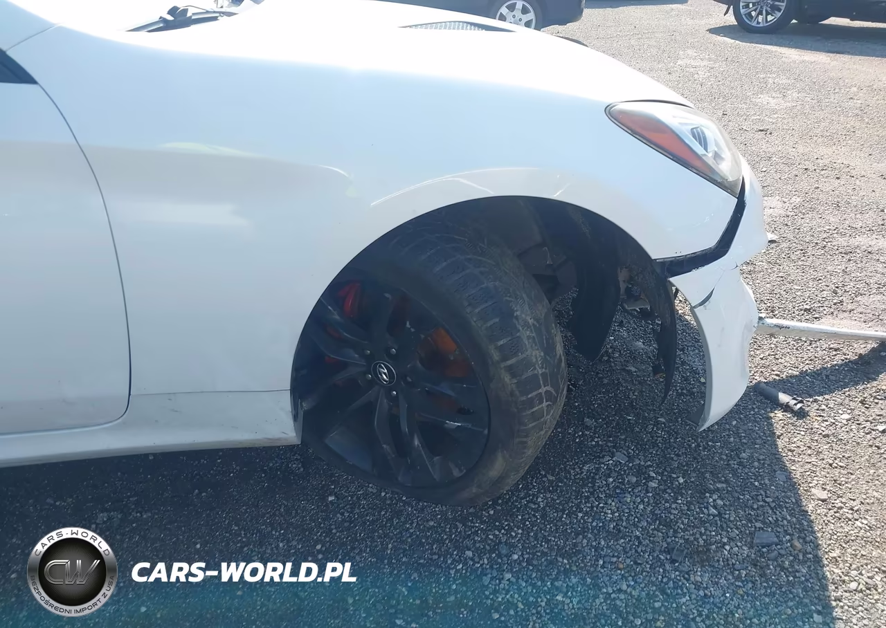 2015 Hyundai Genesis 3.8 Ultimate VIN:KMHHU6KJ3FU127046 - 6