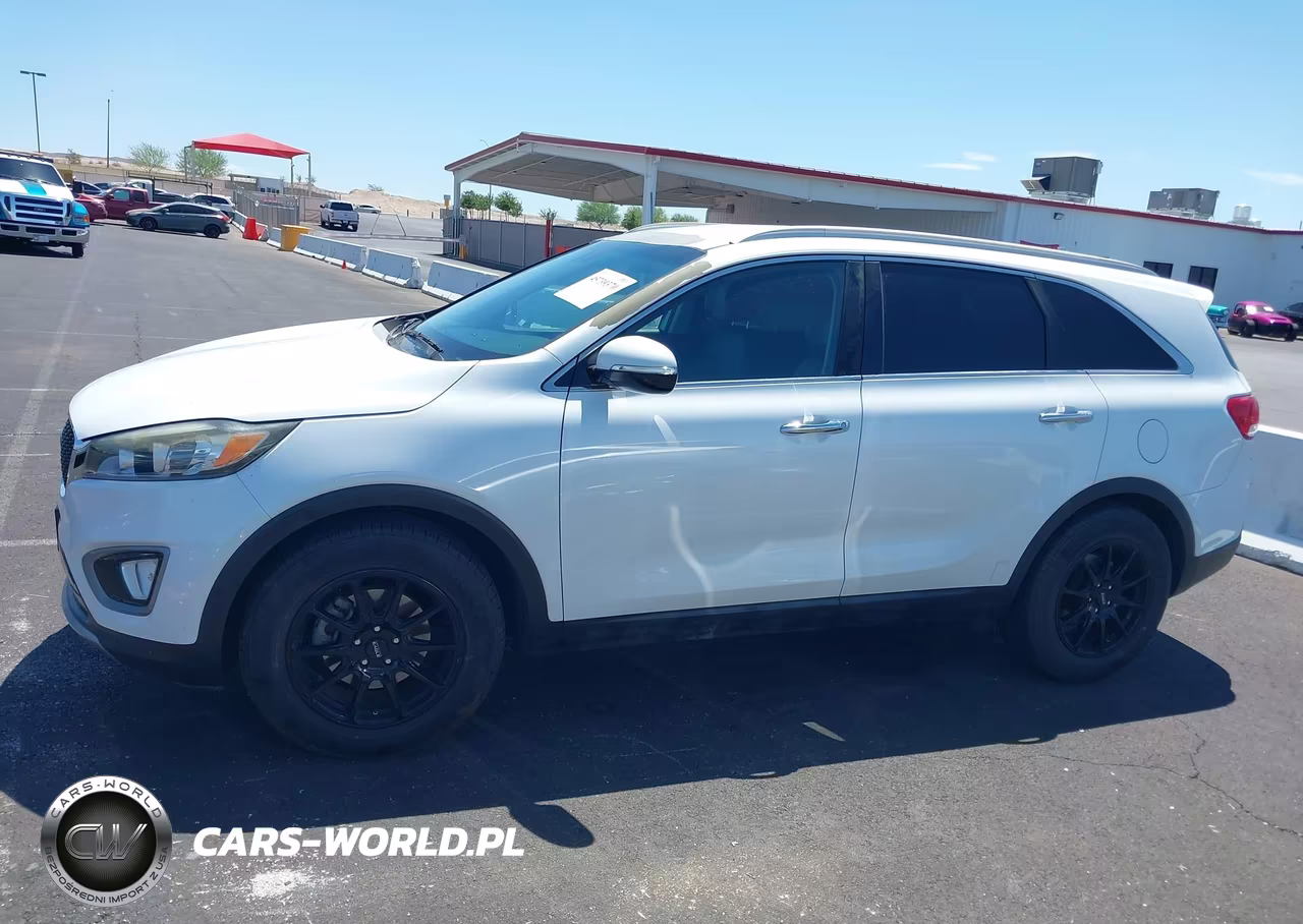 2016 Kia Sorento 2.0T Ex VIN:5XYPH4A11GG001474 - 14