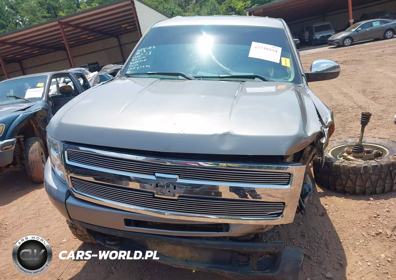 2009 Chevrolet Silverado 1500 Work Truck VIN:3GCEK13C79G196023 - 11