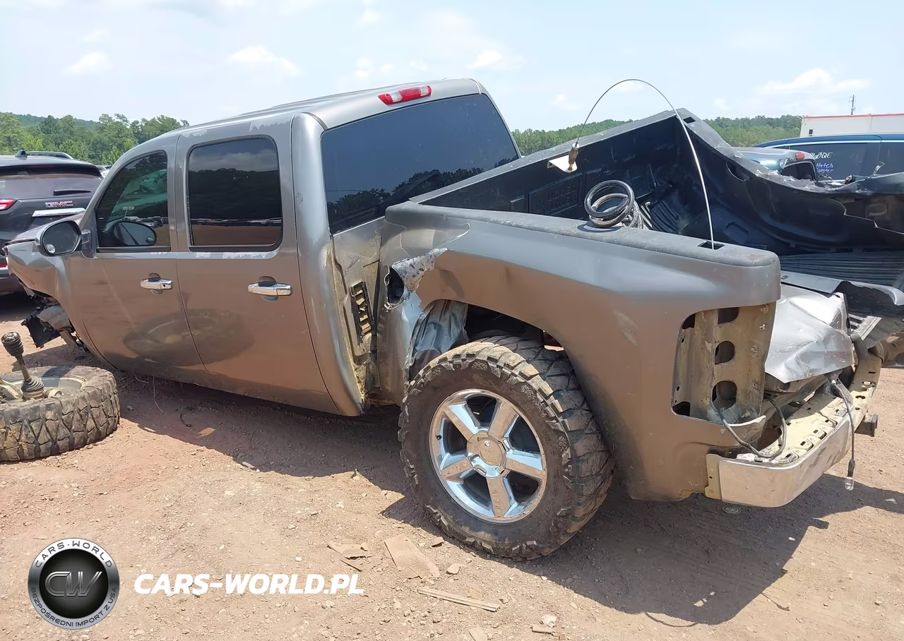 2009 Chevrolet Silverado 1500 Work Truck VIN:3GCEK13C79G196023 - 3