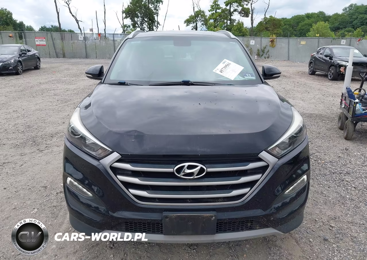 2017 Hyundai Tucson Sport VIN:KM8J3CA29HU447679 - 12