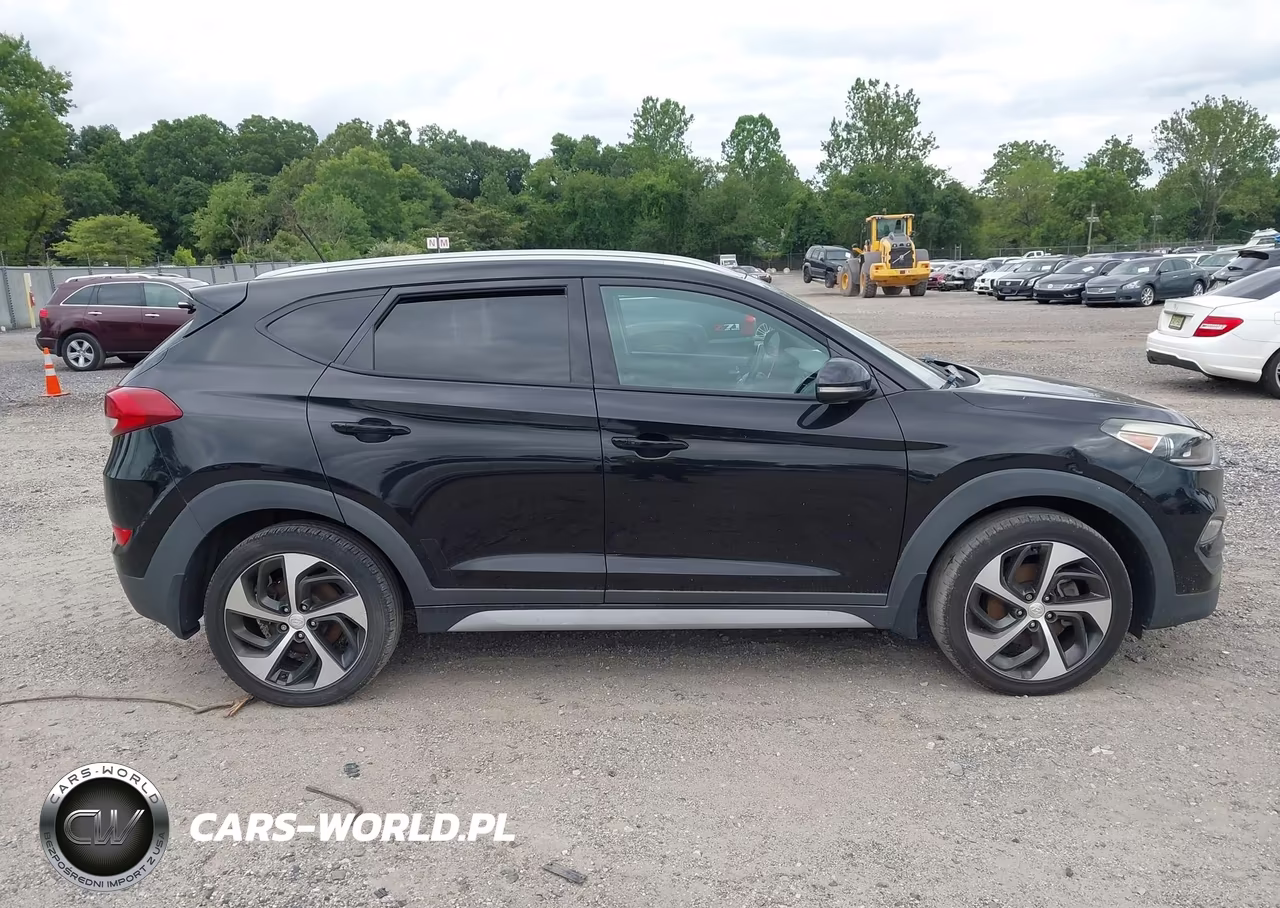 2017 Hyundai Tucson Sport VIN:KM8J3CA29HU447679 - 13