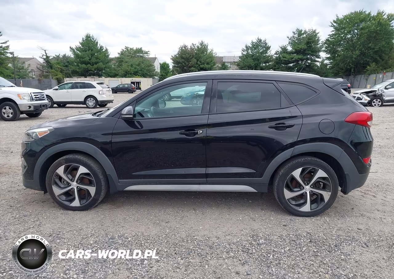 2017 Hyundai Tucson Sport VIN:KM8J3CA29HU447679 - 14