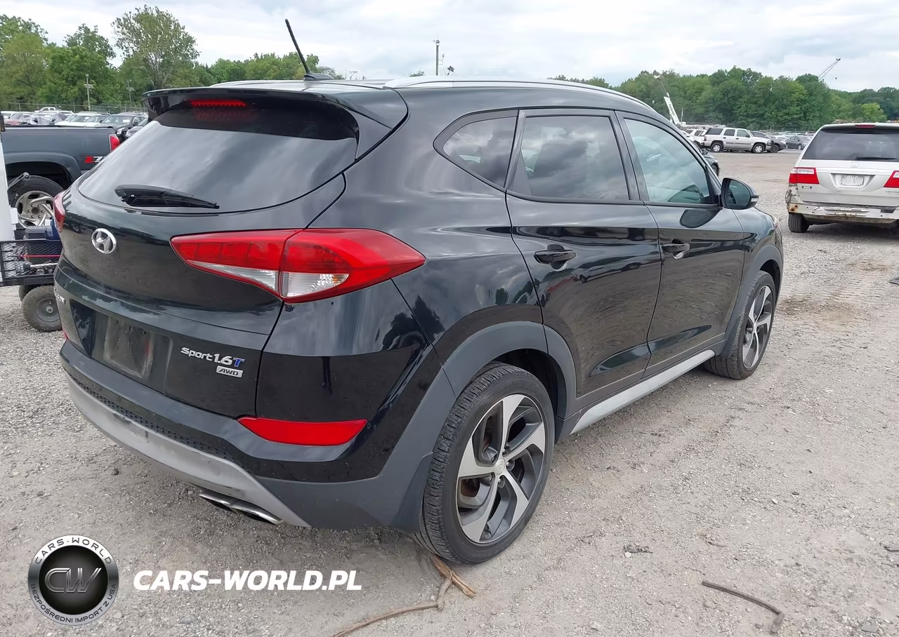2017 Hyundai Tucson Sport VIN:KM8J3CA29HU447679 - 4