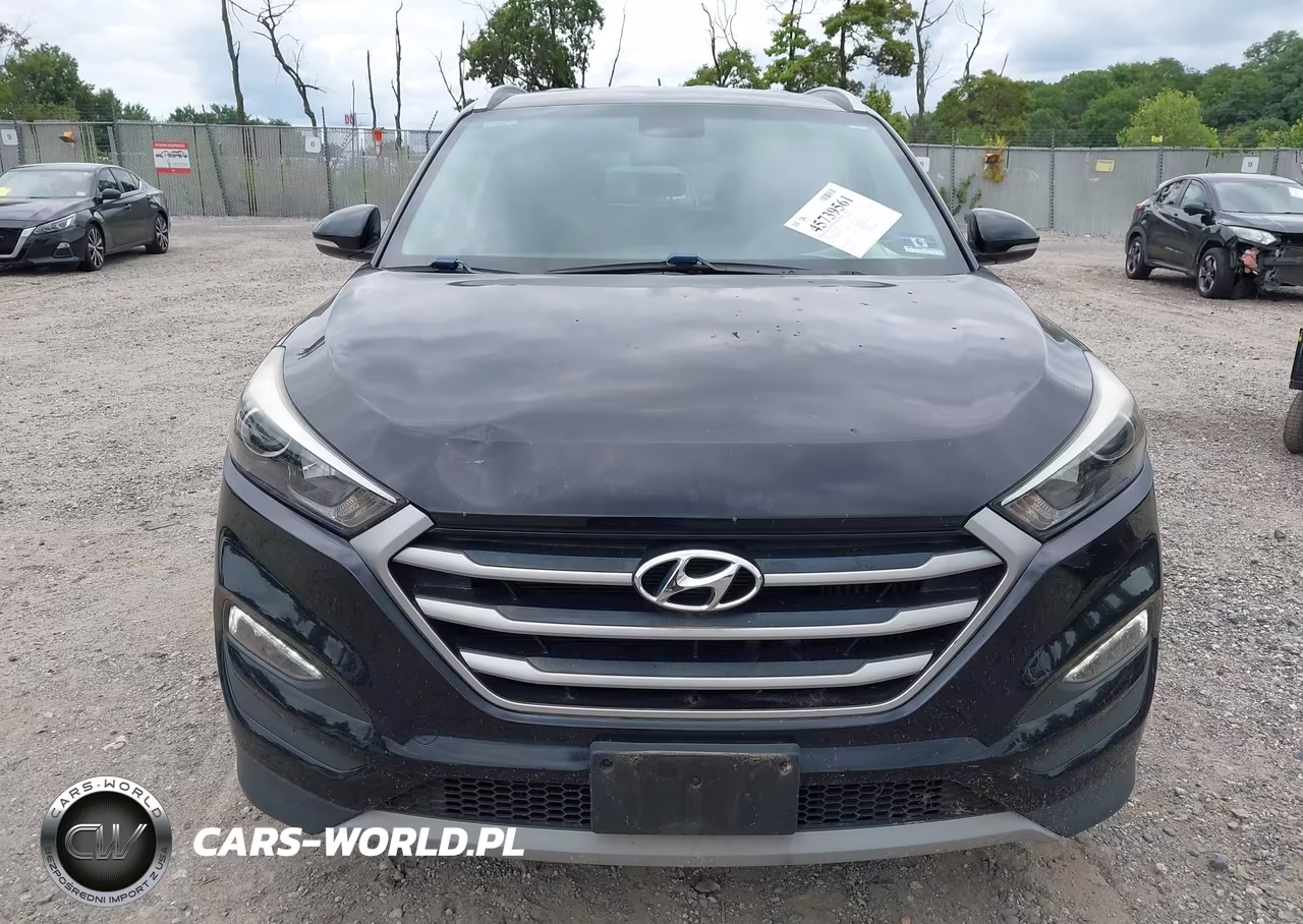 2017 Hyundai Tucson Sport VIN:KM8J3CA29HU447679 - 6