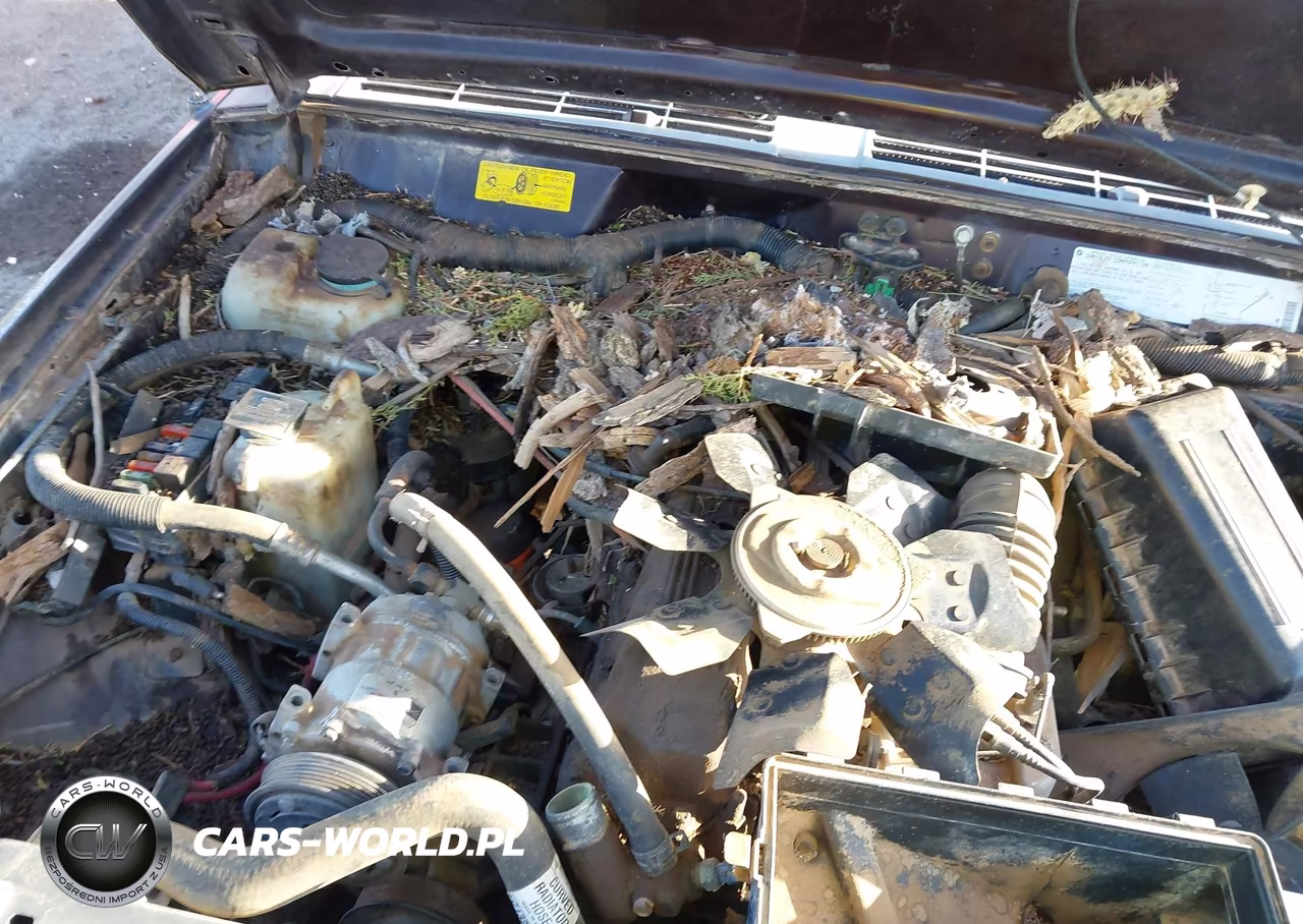 1992 Jeep Cherokee VIN:1J4FJ28S3NL222380 - 10
