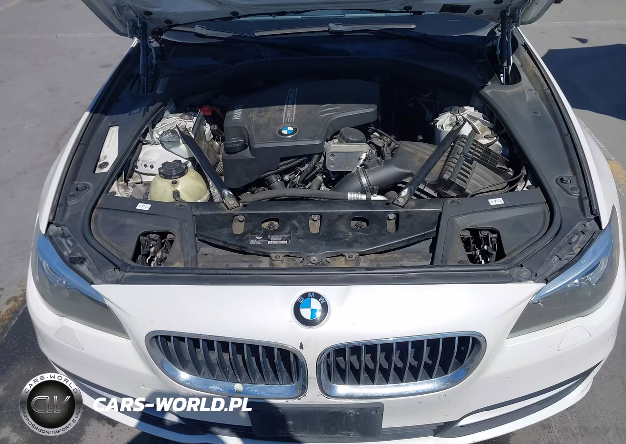 2014 BMW 528I VIN:WBA5A5C52ED501749 - 10