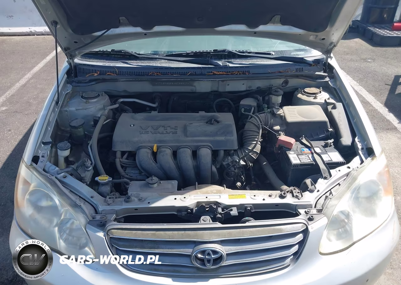 2004 Toyota Corolla Ce VIN:JTDBR32E842033217 - 10