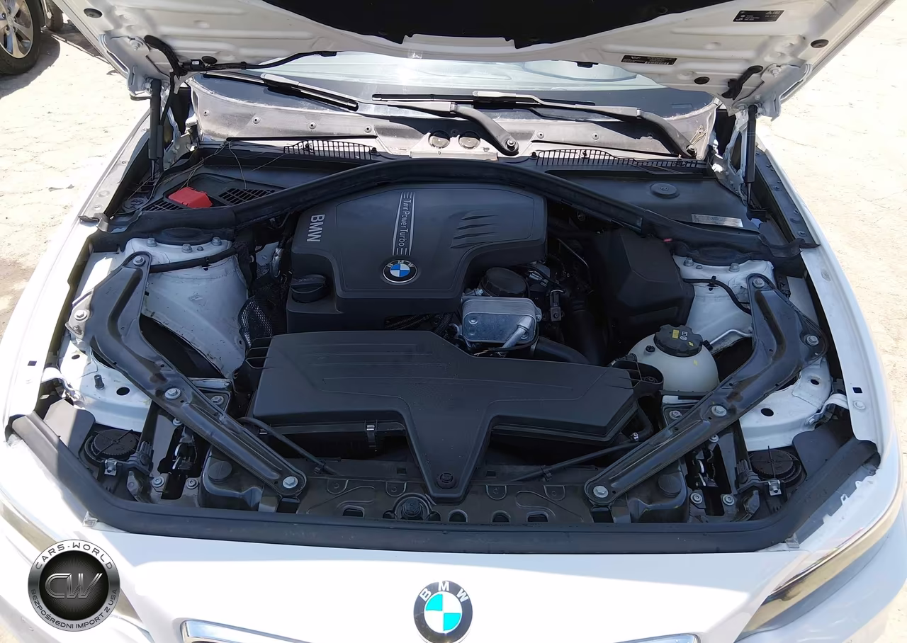 2015 BMW 228I VIN:WBA1K5C56FV473767 - 10
