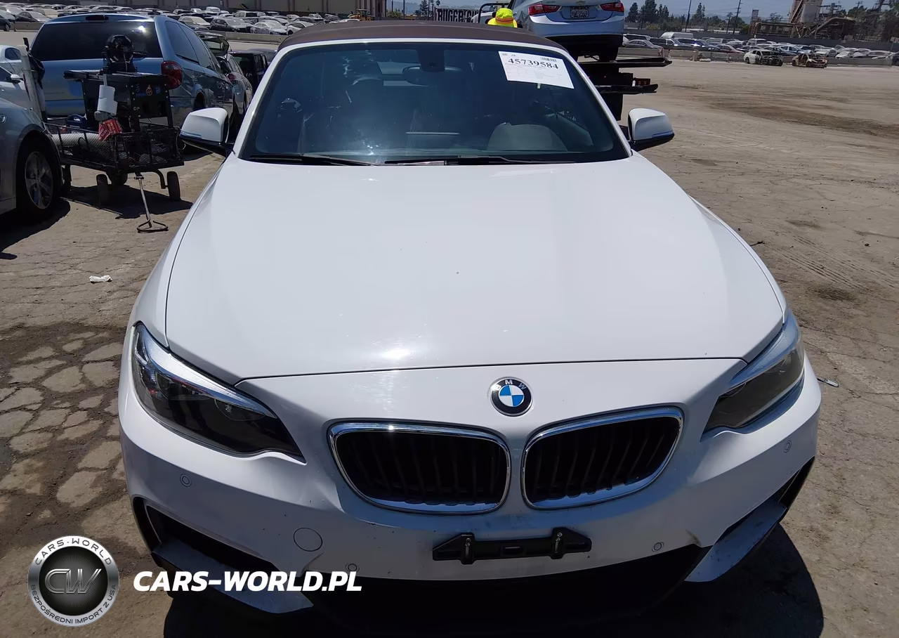 2015 BMW 228I VIN:WBA1K5C56FV473767 - 12