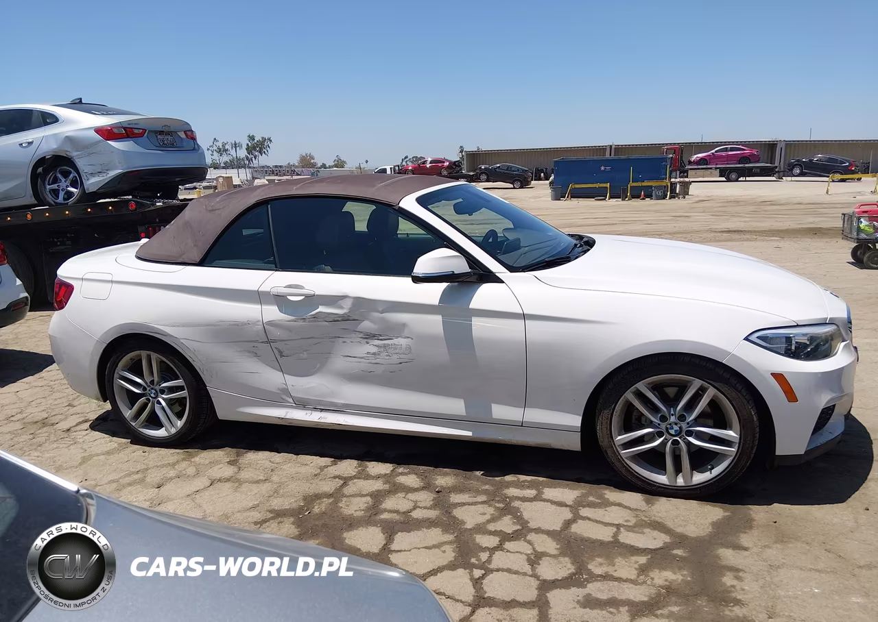2015 BMW 228I VIN:WBA1K5C56FV473767 - 13