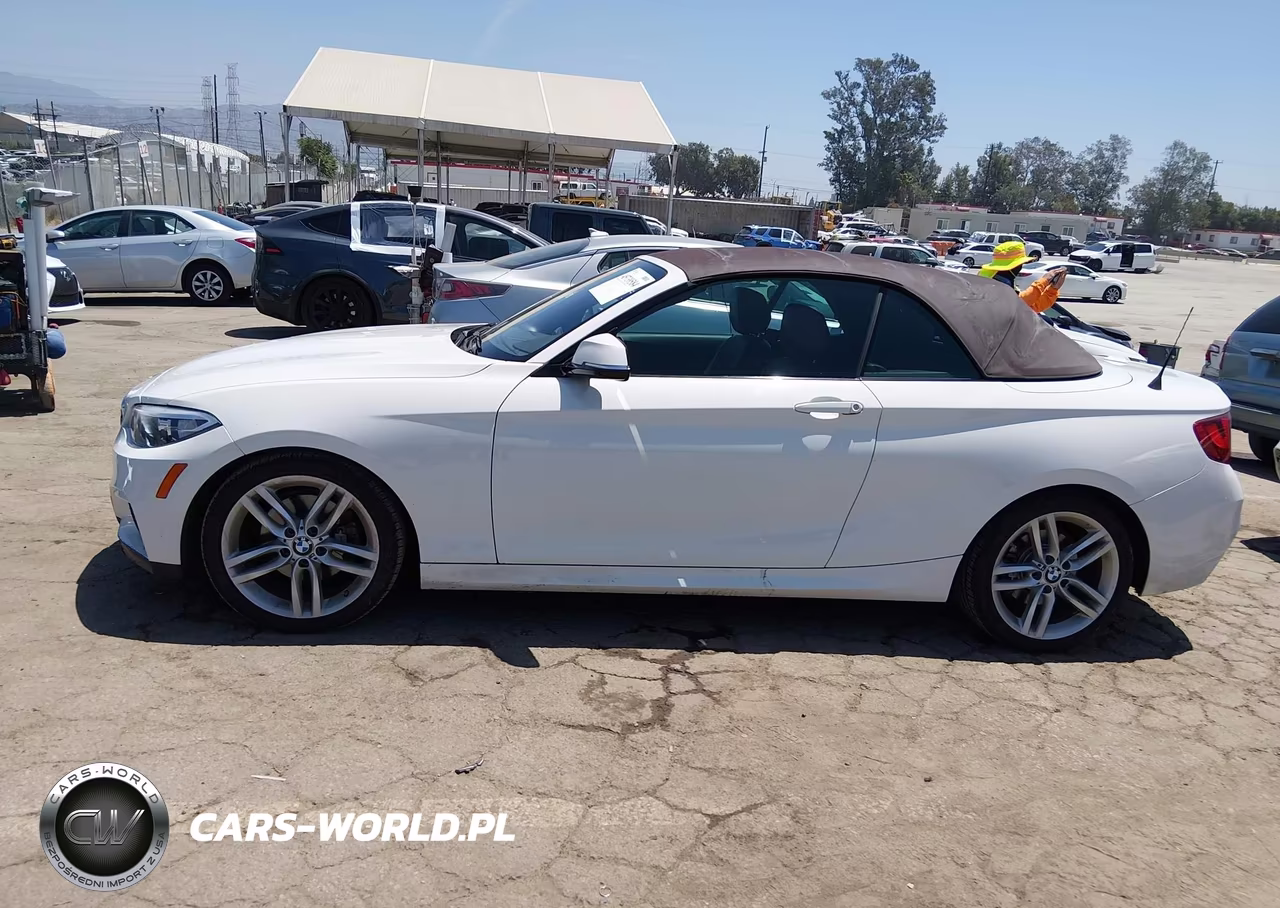 2015 BMW 228I VIN:WBA1K5C56FV473767 - 14
