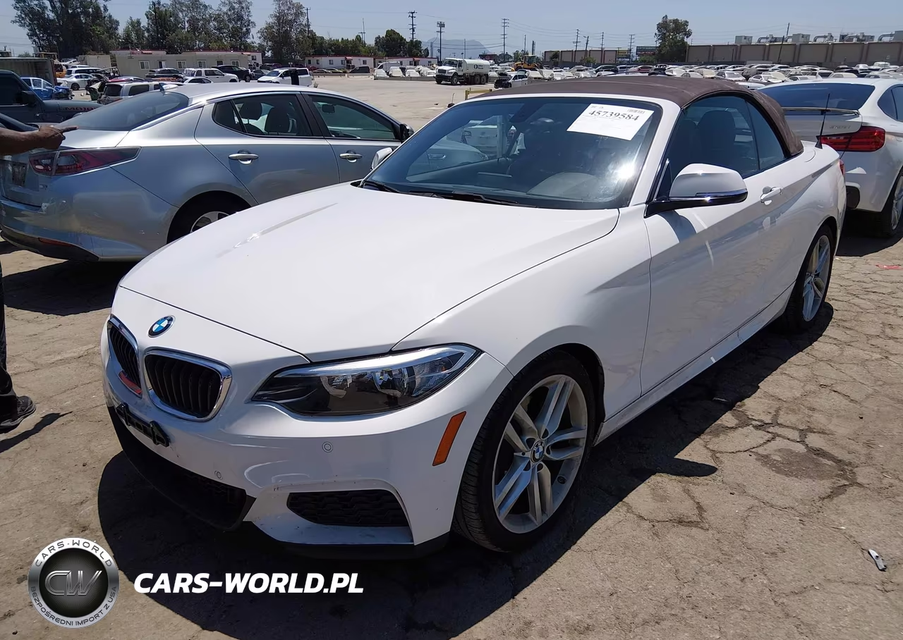 2015 BMW 228I VIN:WBA1K5C56FV473767 - 2