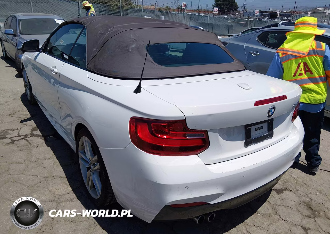 2015 BMW 228I VIN:WBA1K5C56FV473767 - 3