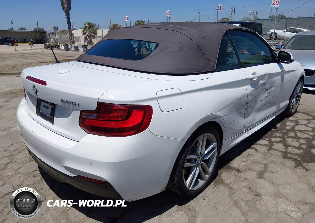 2015 BMW 228I VIN:WBA1K5C56FV473767 - 4