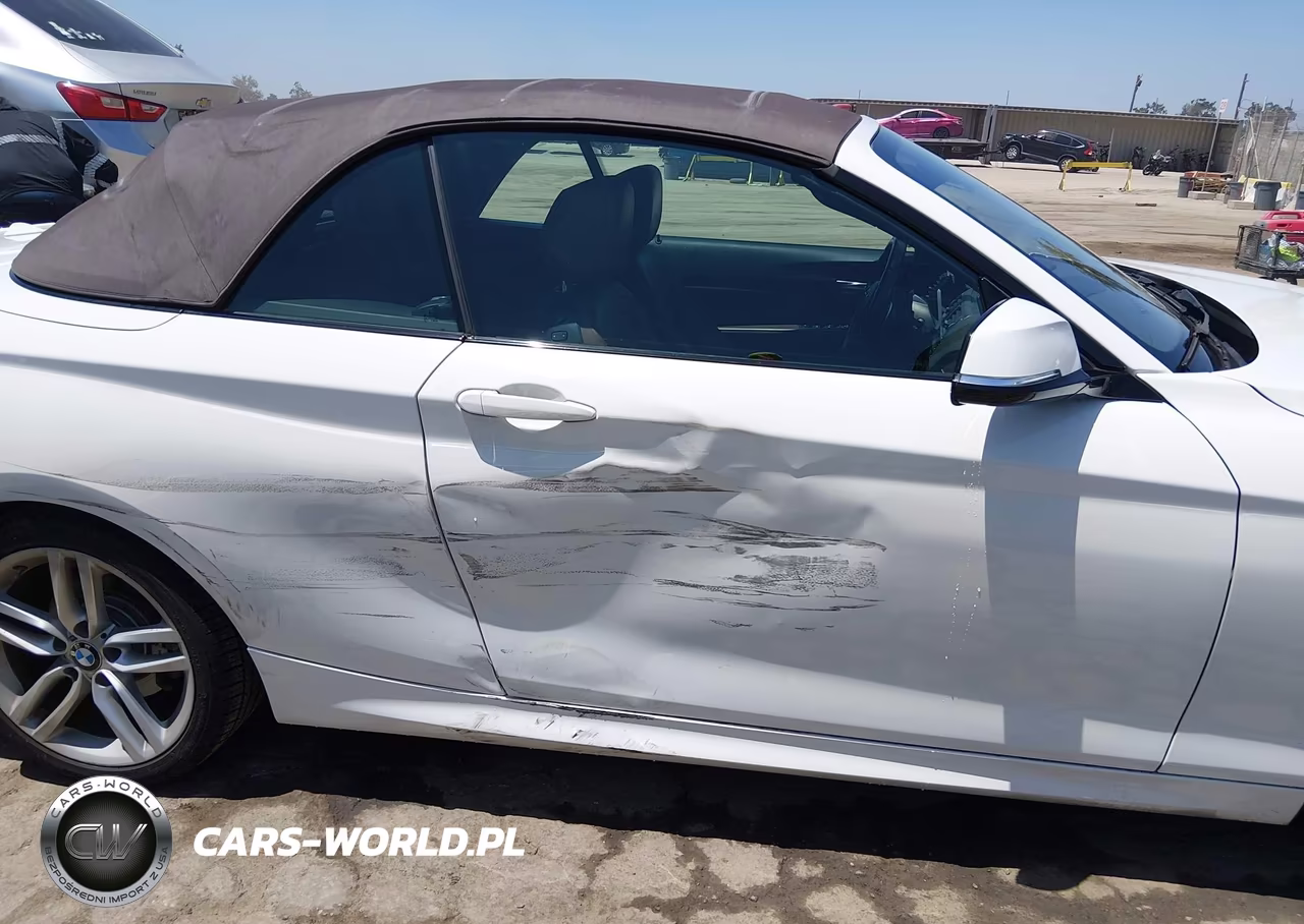 2015 BMW 228I VIN:WBA1K5C56FV473767 - 6