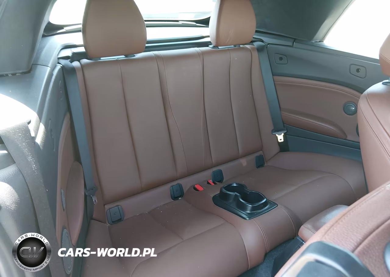 2015 BMW 228I VIN:WBA1K5C56FV473767 - 8
