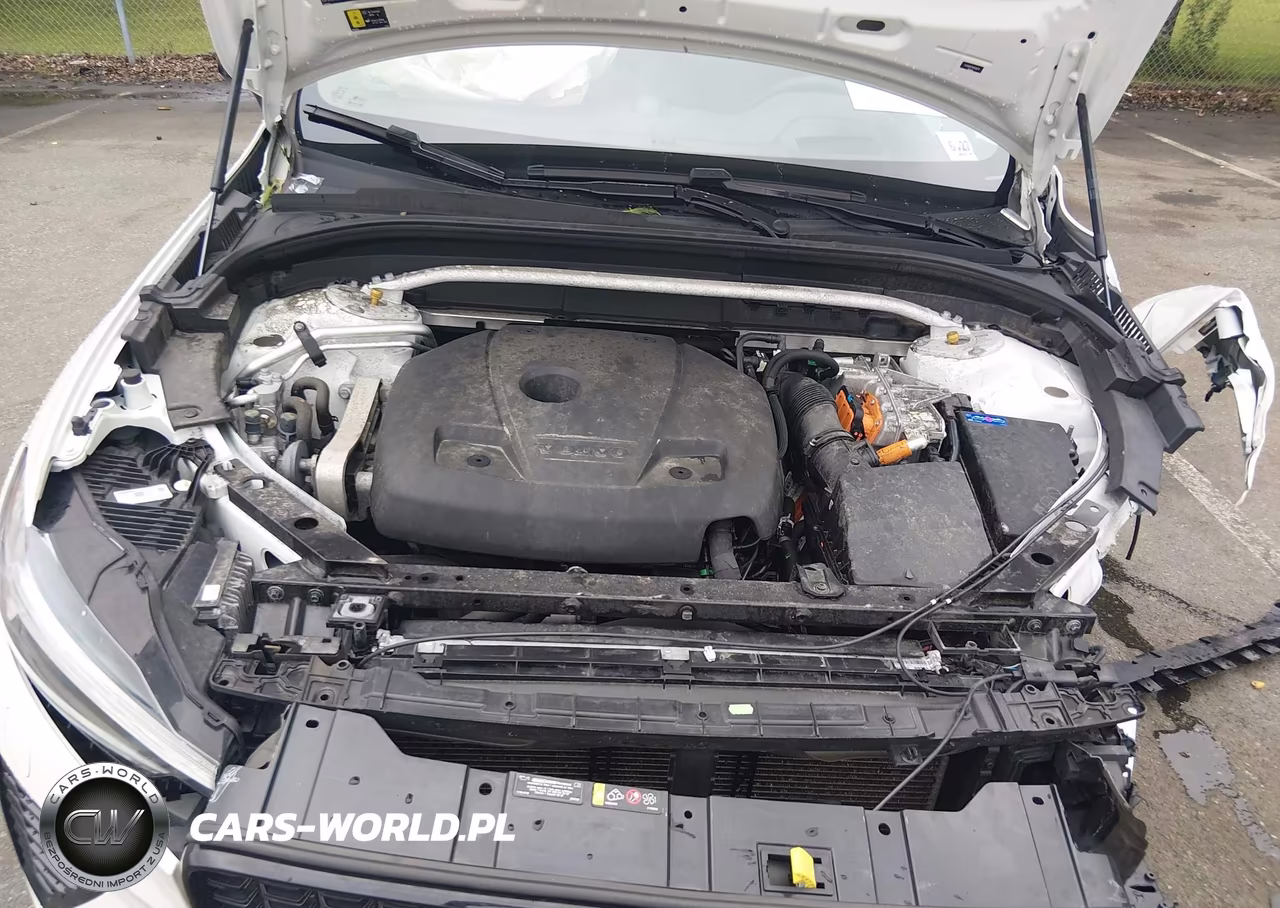 2022 Volvo Xc60 Recharge Plug-In Hybrid T8 Polestar Engineered Extended Range VIN:YV4H60DP1N1009376 - 10