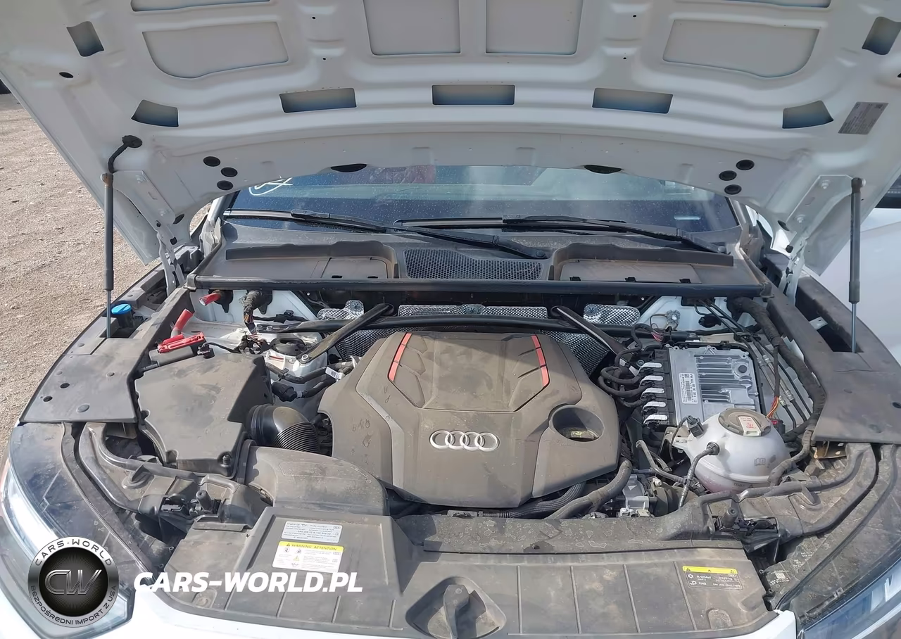 2024 Audi Sq5 Sportback Premium Plus Tfsi Quattro Tiptronic VIN:WA124AFY1R2012654 - 10