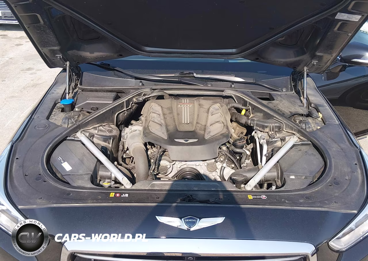 2019 Genesis G90 3.3T Premium VIN:KMHG34JA1KU050515 - 10