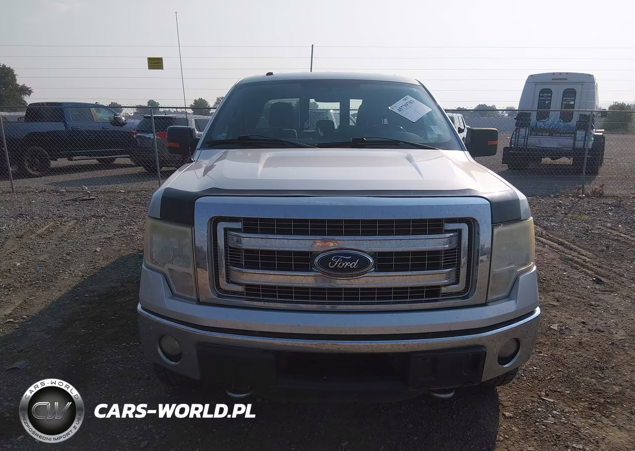 2013 Ford F-150 Xlt VIN:1FTFX1ET6DKG19694 - 12