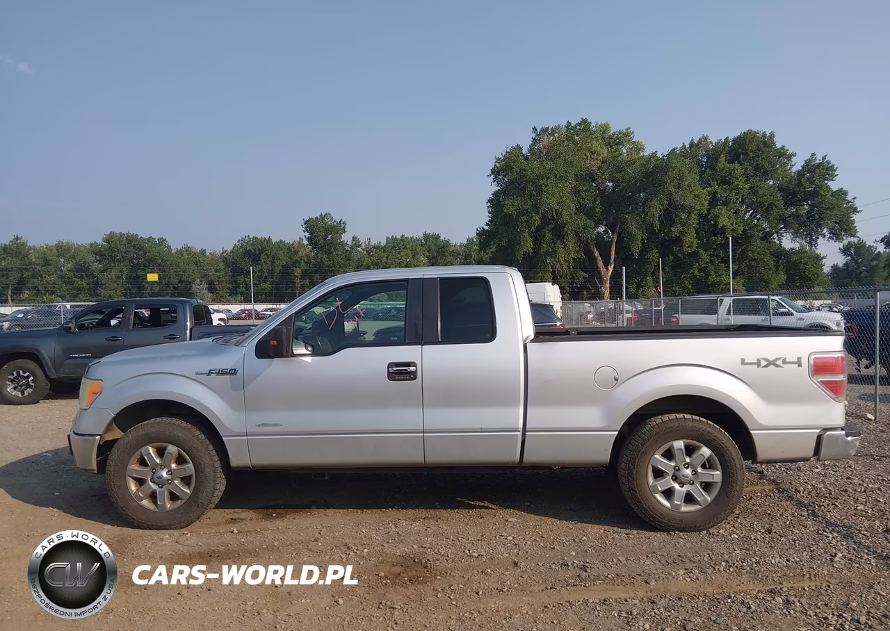 2013 Ford F-150 Xlt VIN:1FTFX1ET6DKG19694 - 14