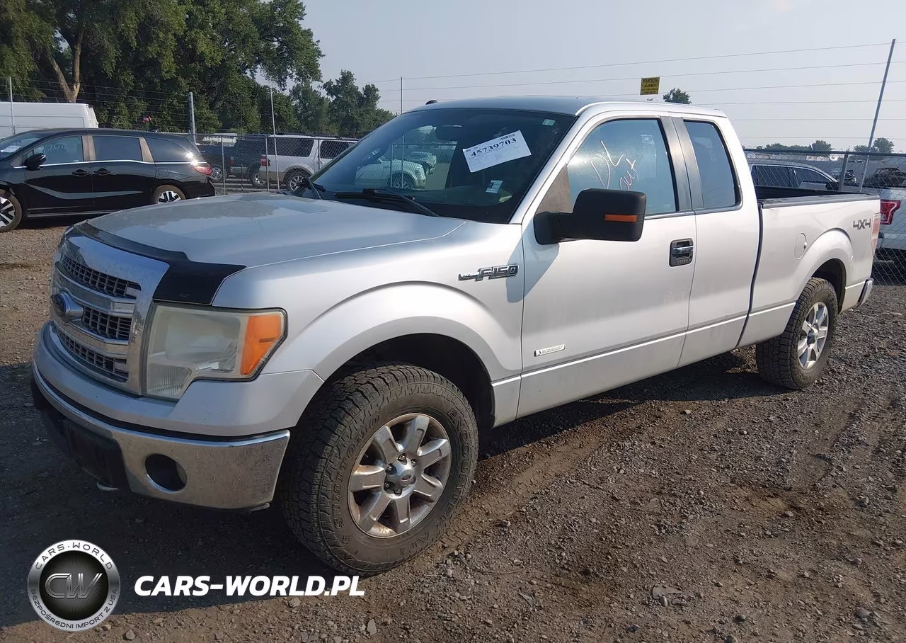 2013 Ford F-150 Xlt VIN:1FTFX1ET6DKG19694 - 2
