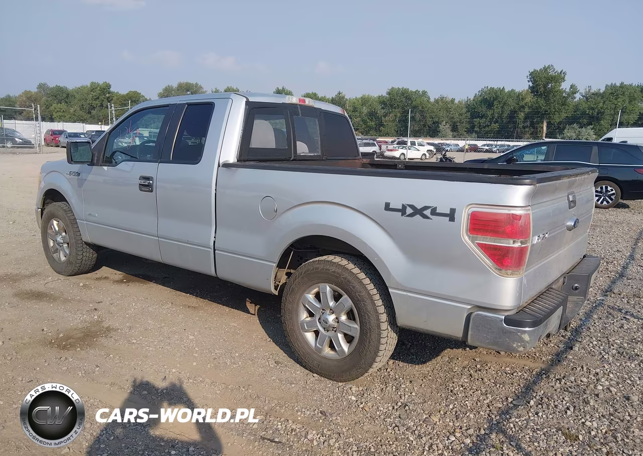 2013 Ford F-150 Xlt VIN:1FTFX1ET6DKG19694 - 3