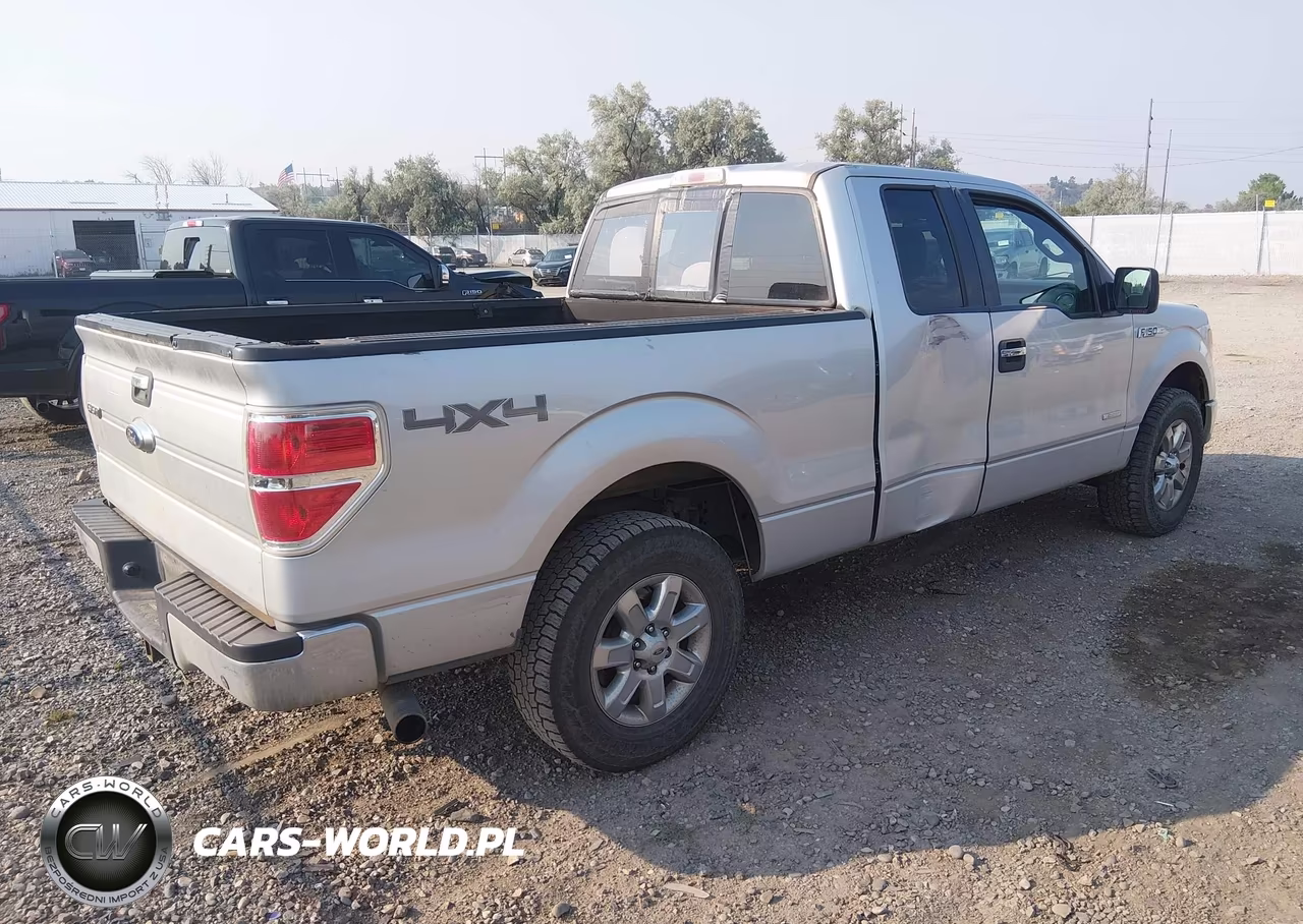 2013 Ford F-150 Xlt VIN:1FTFX1ET6DKG19694 - 4
